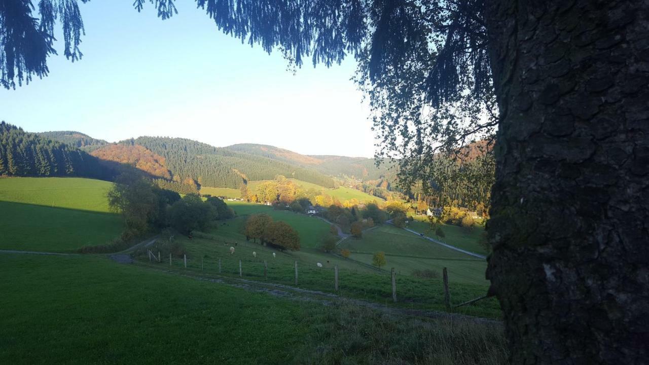 Pension Bergfrieden Schmallenberg Eksteriør billede