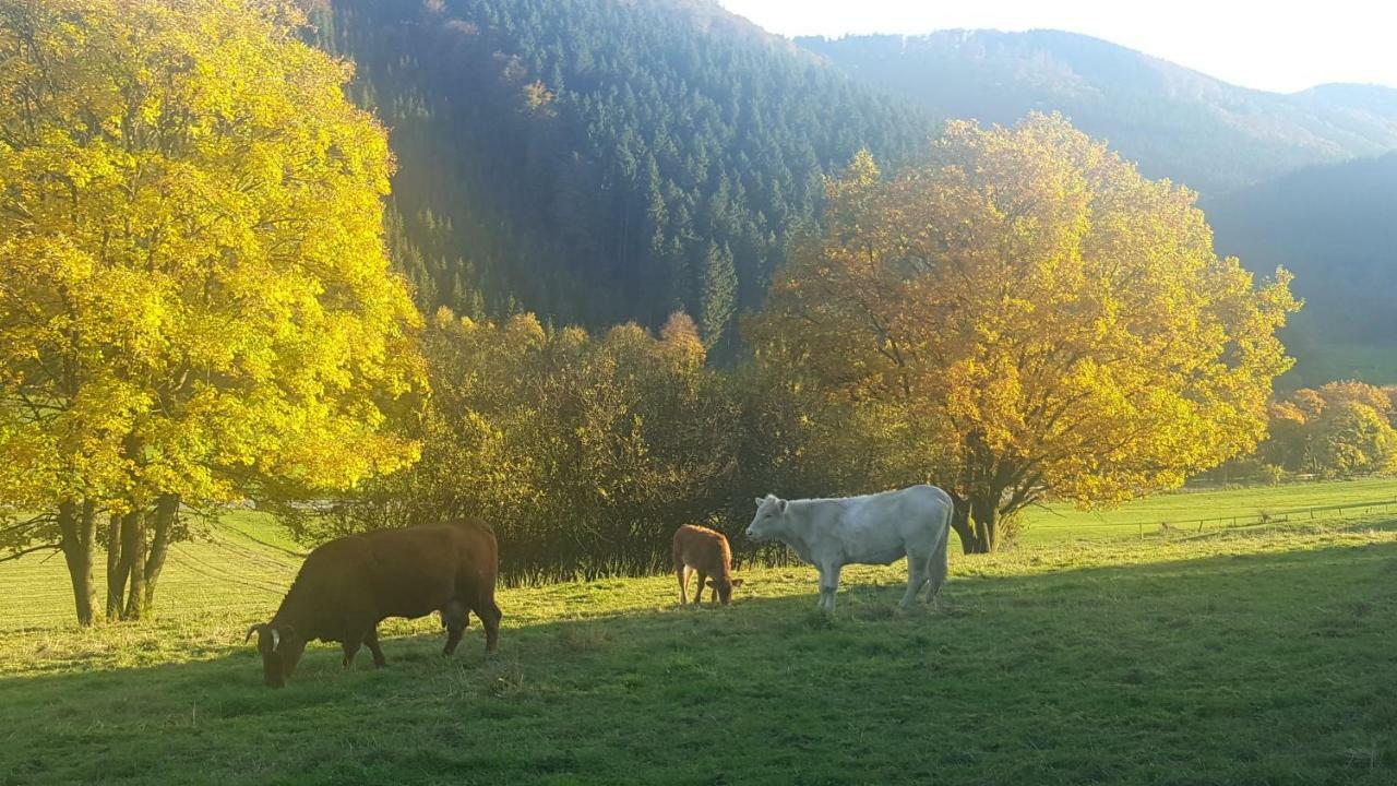 Pension Bergfrieden Schmallenberg Eksteriør billede